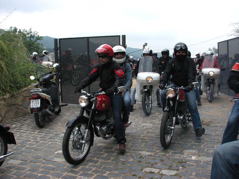 03_IMG_8144_Perenubiola