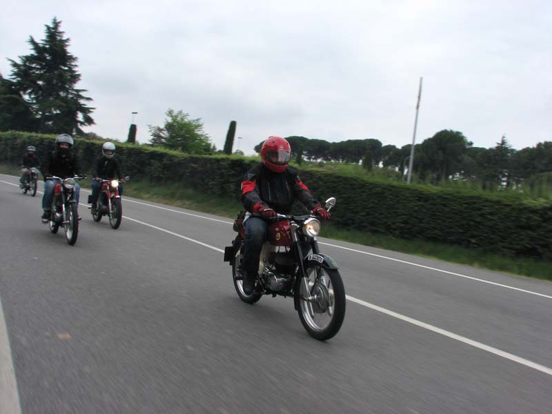 04_IMG_8177_Perenubiola