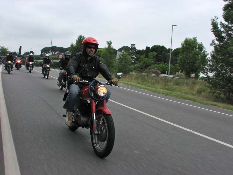 04_IMG_8179_Perenubiola
