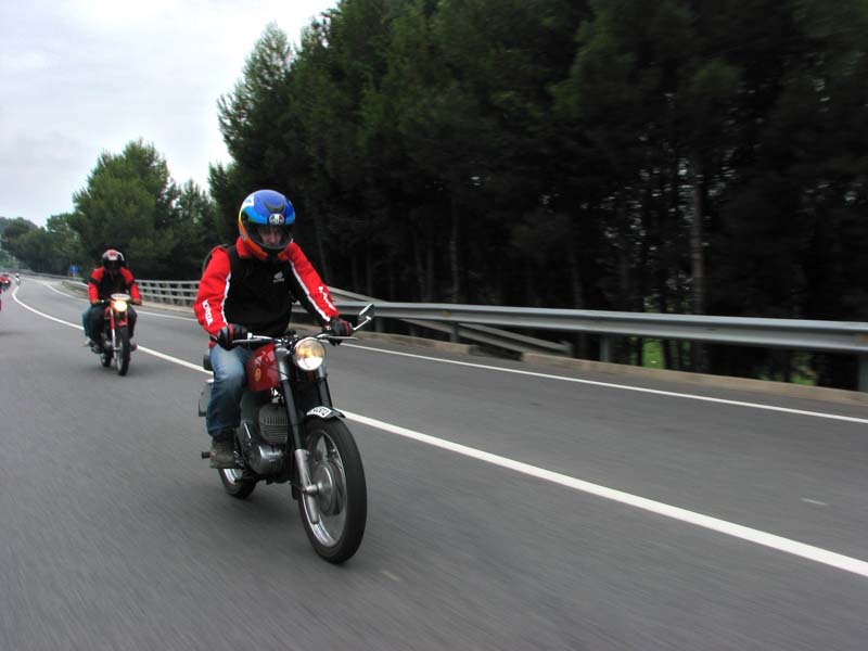 04_IMG_8184_Perenubiola