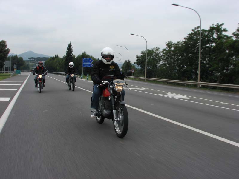 04_IMG_8186_Perenubiola