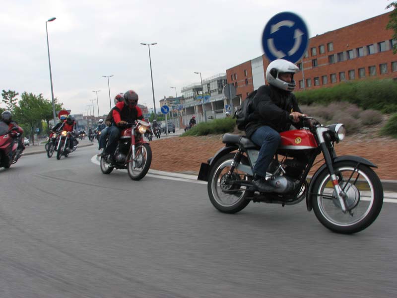 04_IMG_8204_Perenubiola