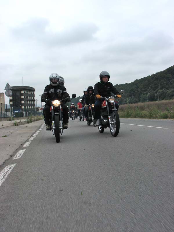 04_IMG_8210_Perenubiola