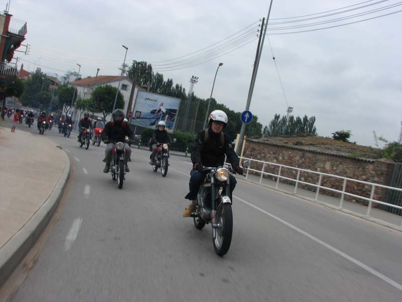 04_IMG_8218_Perenubiola