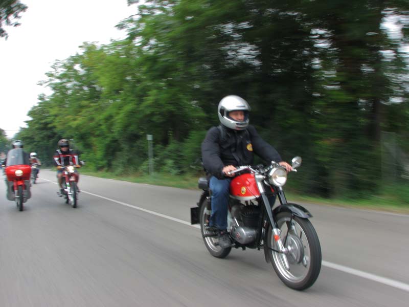 04_IMG_8219_Perenubiola