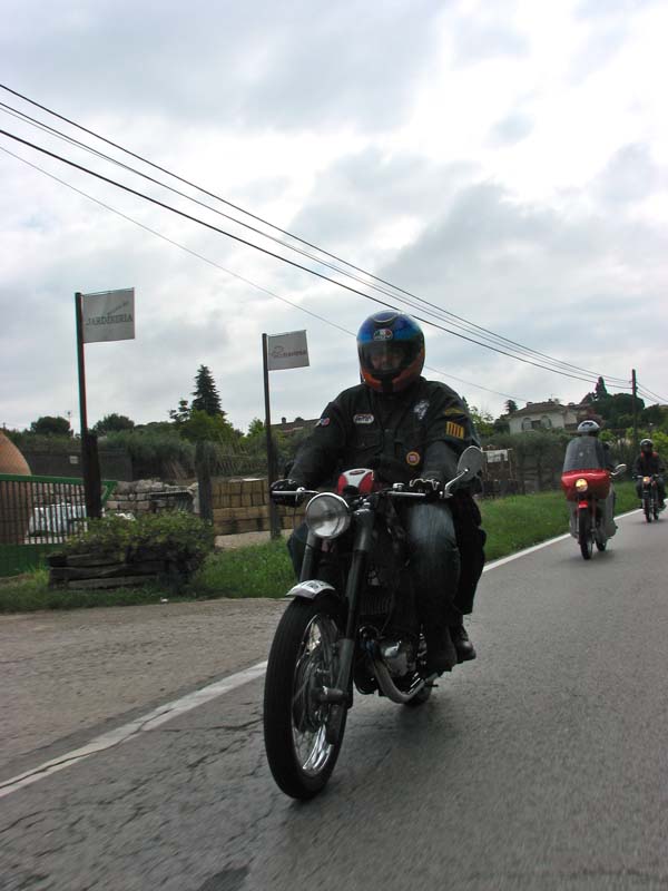 04_IMG_8228_Perenubiola