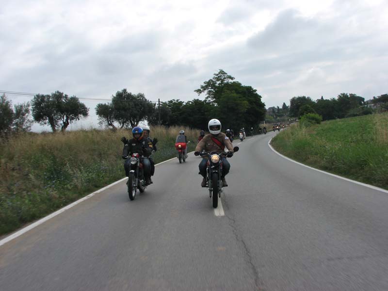 04_IMG_8229_Perenubiola