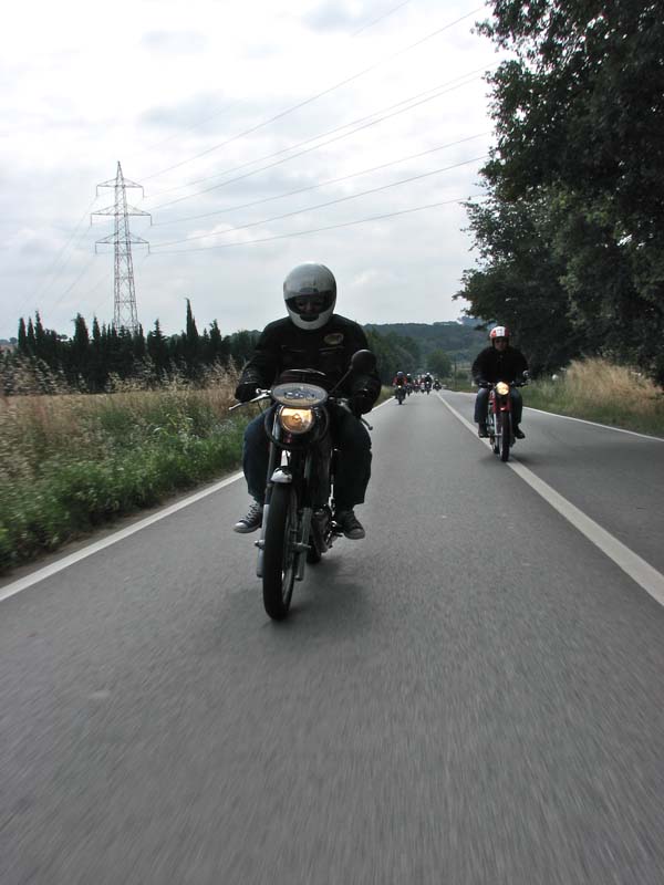 04_IMG_8238_Perenubiola