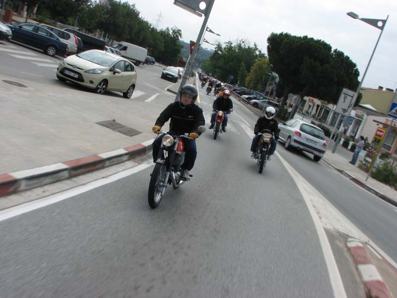 04_IMG_8241_Perenubiola