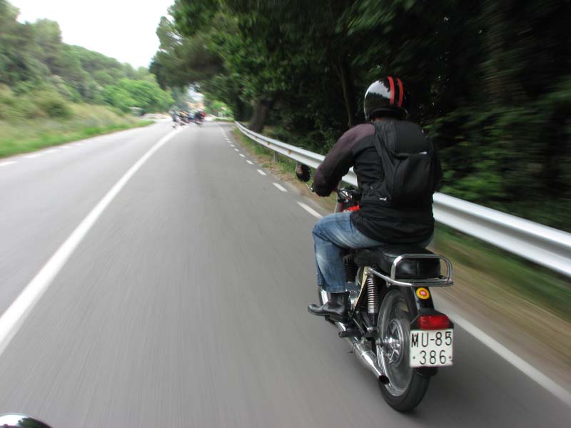 04_IMG_8250_Perenubiola
