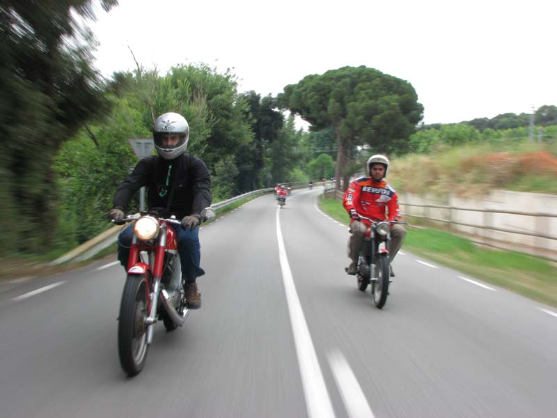 04_IMG_8255_Perenubiola