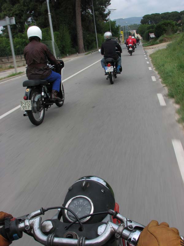 04_IMG_8257_Perenubiola