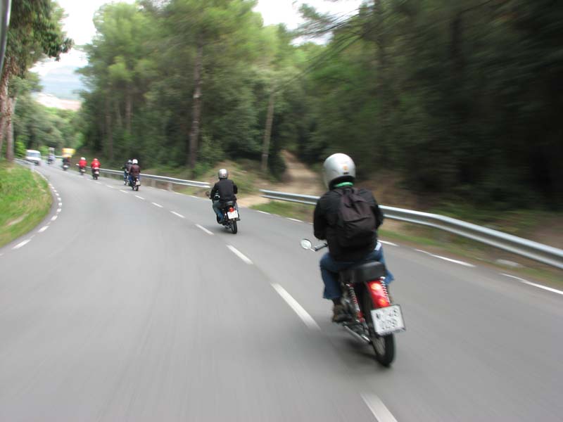 04_IMG_8259_Perenubiola