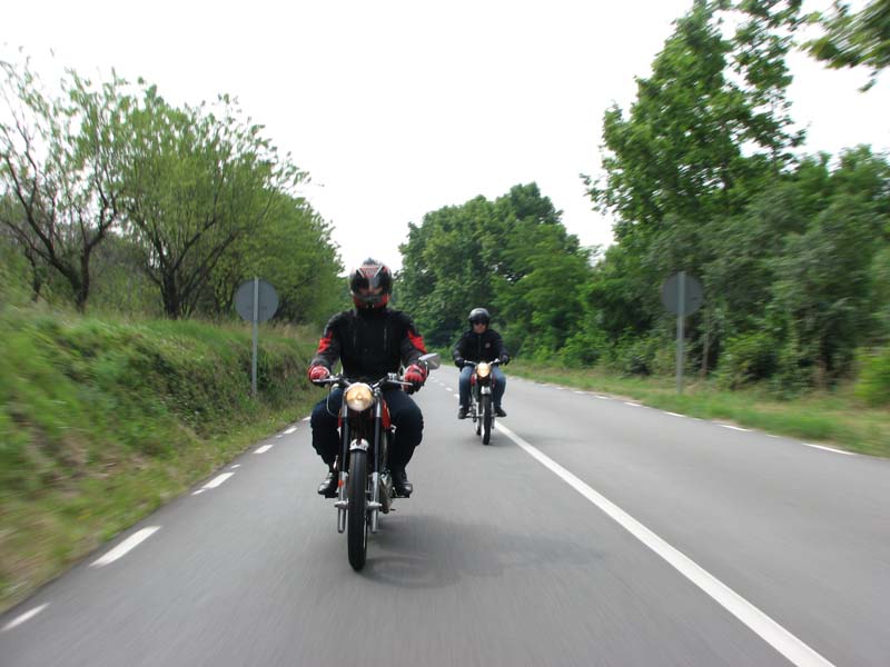 04_IMG_8262_Perenubiola