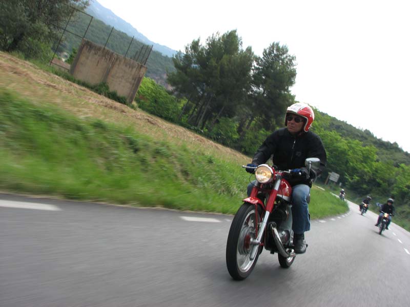 04_IMG_8266_Perenubiola