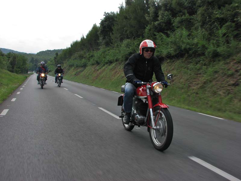 04_IMG_8269_Perenubiola