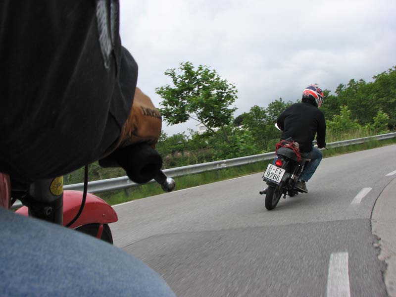 04_IMG_8284_Perenubiola
