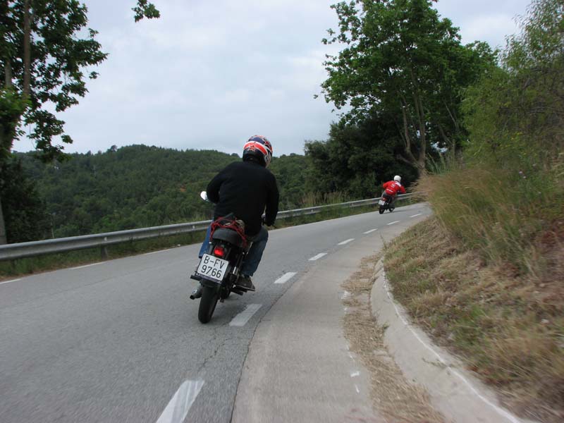 04_IMG_8286_Perenubiola