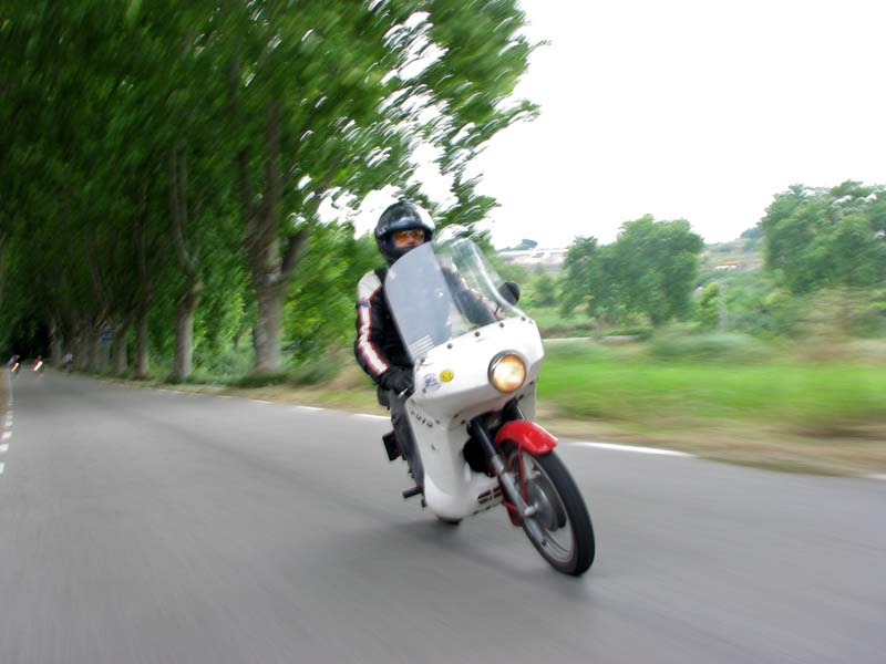 04_IMG_8294_Perenubiola