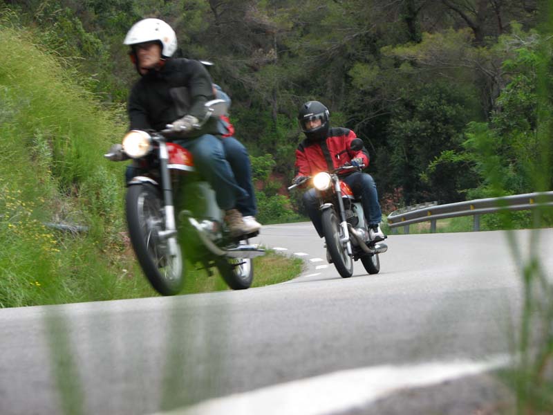 04_IMG_8313_Perenubiola