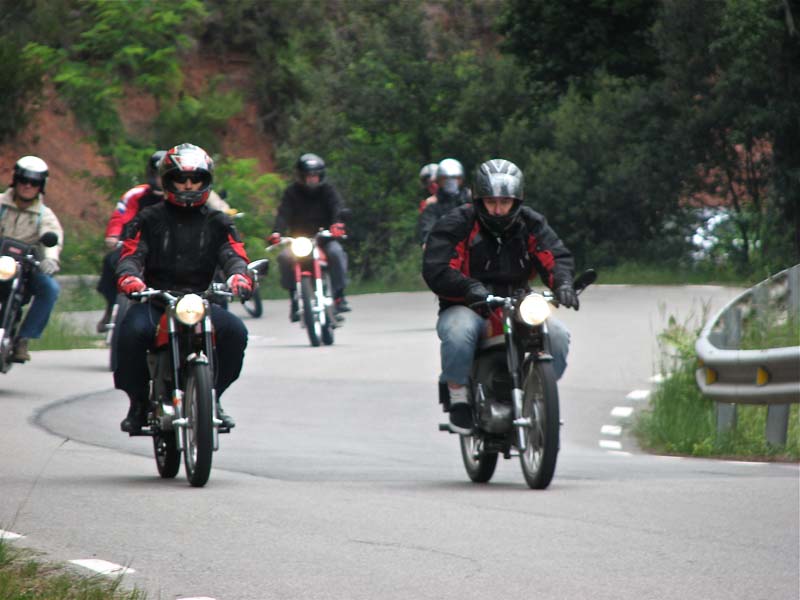 04_IMG_8324_Perenubiola