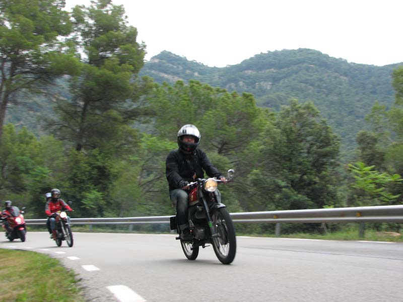 04_IMG_8336_Perenubiola