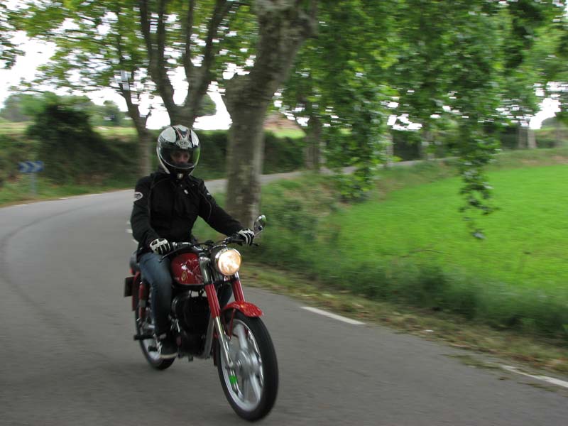 04_IMG_8342_Perenubiola