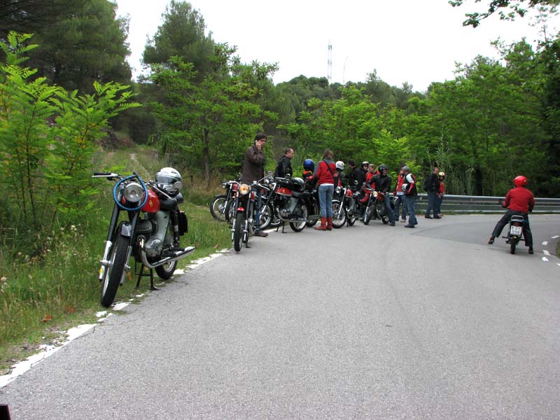 04_IMG_8345_Perenubiola