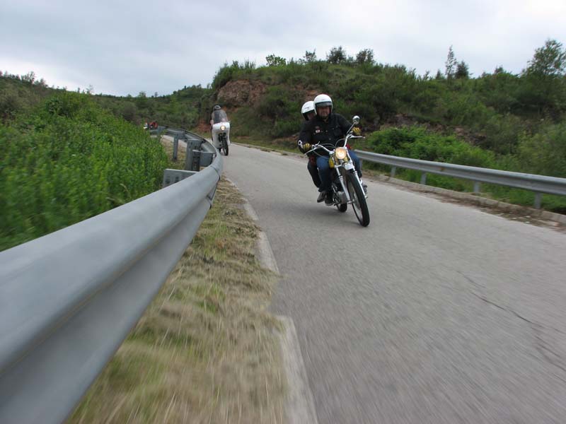 04_IMG_8369_Perenubiola