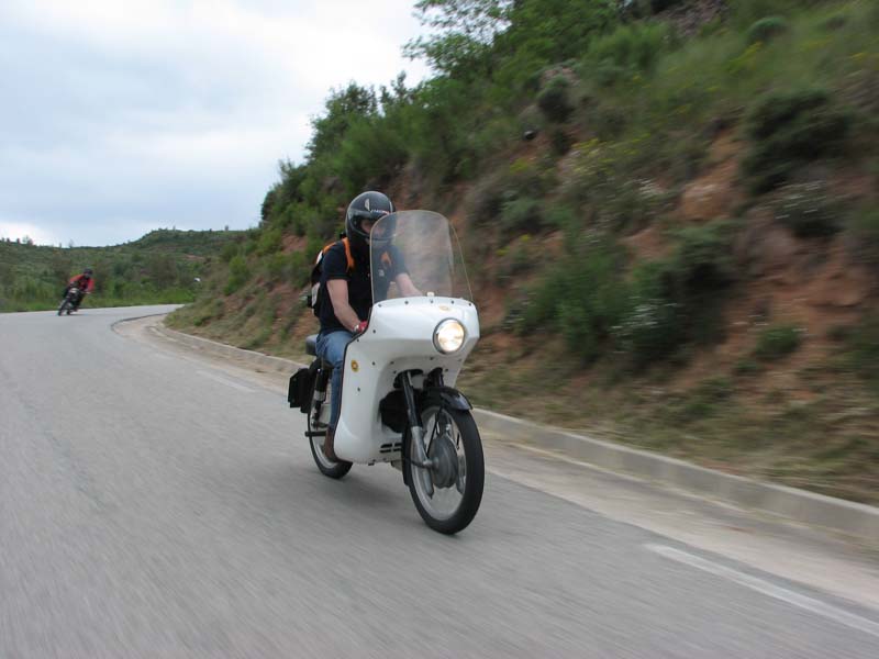 04_IMG_8373_Perenubiola