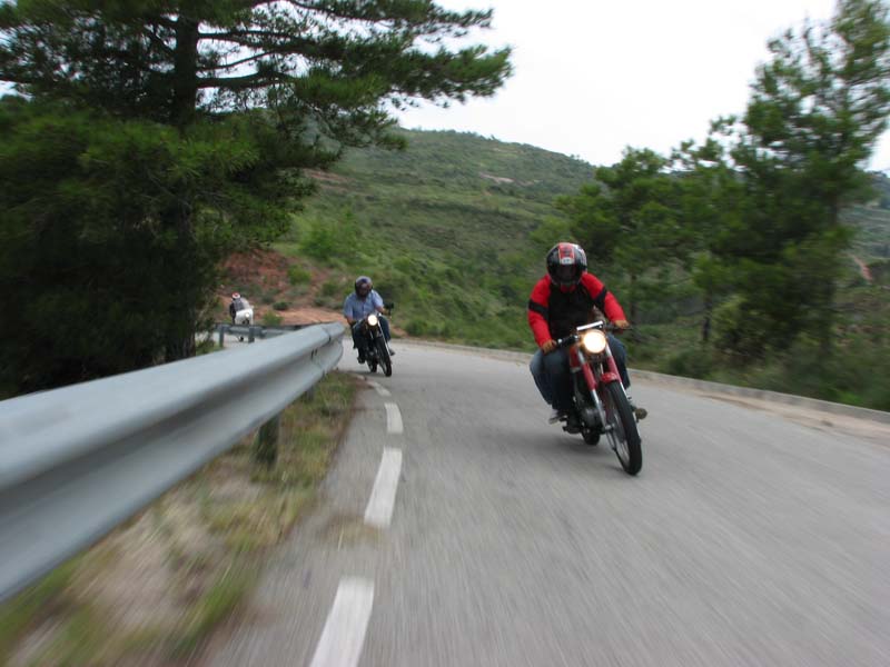 04_IMG_8376_Perenubiola