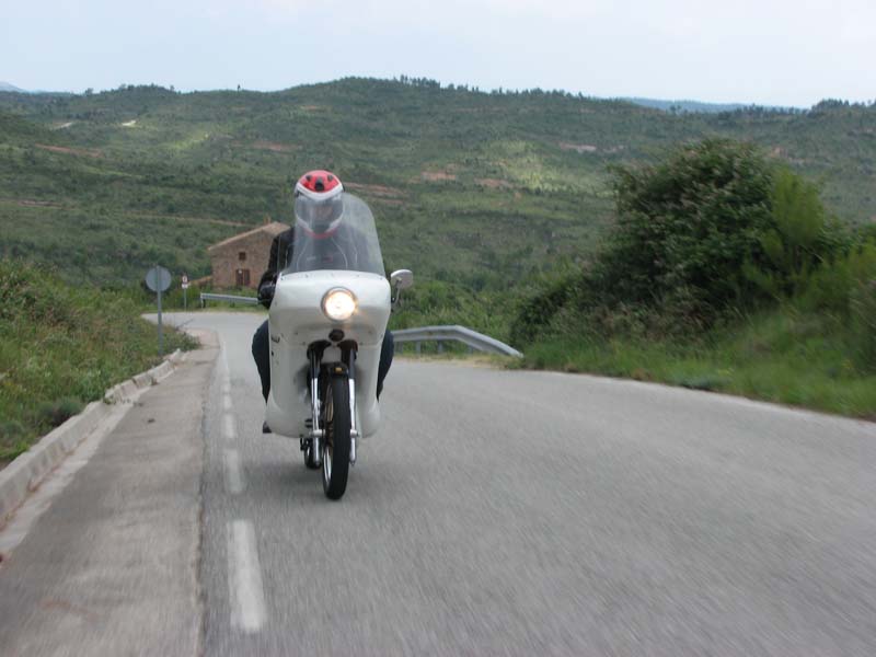 04_IMG_8381_Perenubiola