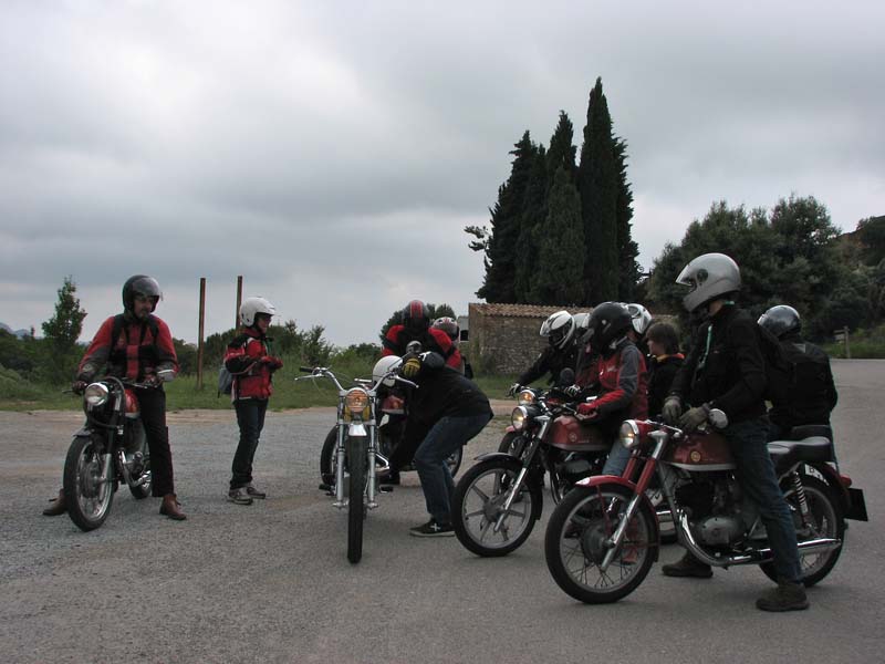 04_IMG_8391_Perenubiola