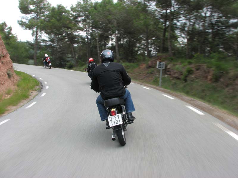 04_IMG_8393_Perenubiola