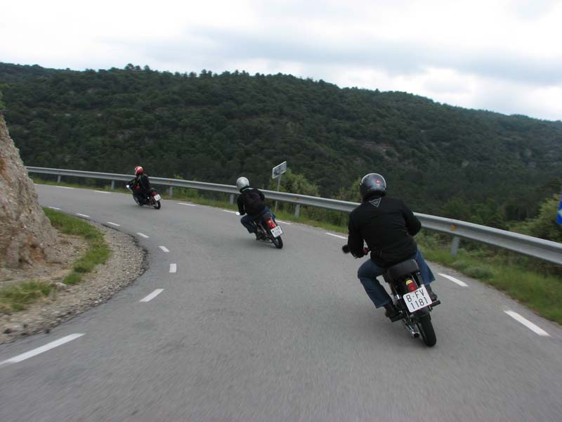 04_IMG_8395_Perenubiola
