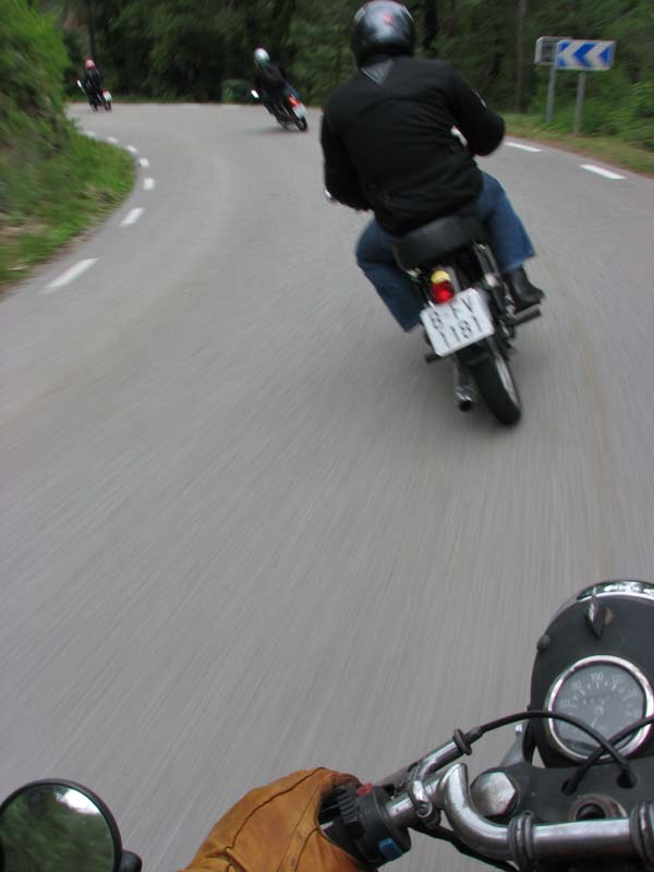 04_IMG_8399_Perenubiola