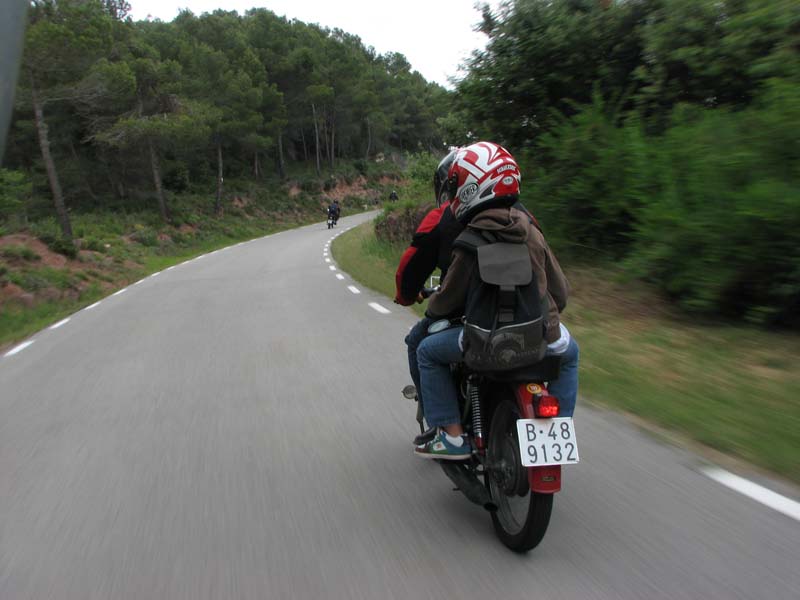 04_IMG_8413_Perenubiola