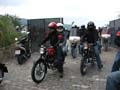 03_IMG_8144_Perenubiola