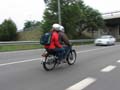 04_IMG_8189_Perenubiola