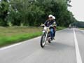 04_IMG_8243_Perenubiola