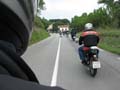 04_IMG_8247_Perenubiola