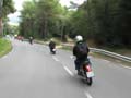 04_IMG_8259_Perenubiola