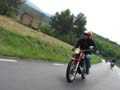 04_IMG_8266_Perenubiola