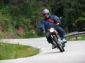04_IMG_8306_Perenubiola