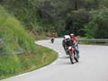 04_IMG_8315_Perenubiola