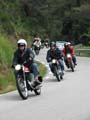 04_IMG_8320_Perenubiola
