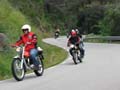 04_IMG_8328_Perenubiola
