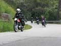 04_IMG_8331_Perenubiola