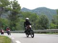 04_IMG_8336_Perenubiola