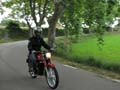 04_IMG_8342_Perenubiola